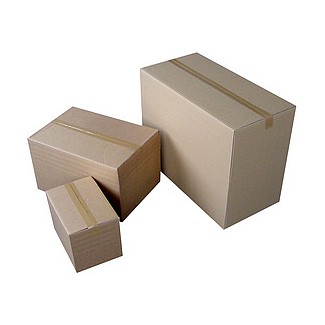 Carton d'expédition