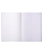 LE DAUPHIN Carnet quadrillé autocopiant dupli  210 x 148 mm 1112D Modèle