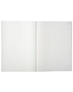 LE DAUPHIN Carnet autocopiant tripli Quadrillés - 297  x 210 mm 1123D Modèle