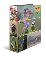 Classeur à 2 anneaux - Dos de 70 mm - Chevaux : HERMA image