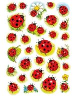 Stickers en papier - Coccinelles et fleur : HERMA Lot de 84 Image