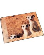 Sous-mains de bureau - 400 x 530 mm - Suricates : LAUFER Visuel