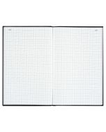 LE DAUPHIN : Registre 400 pages quadrillées avec foliotage - 340 x 225 mm