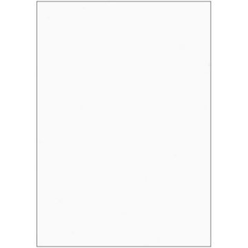 ELVE B105 : Lot de 100 fiches bristol A6 - 105 x 148 mm - Blanc uni