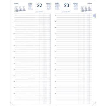 Agenda Journalier 2024 - Recettes et Dépenses - 140 x 350 mm : LECAS pages