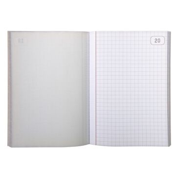 LE DAUPHIN : Manifold autocopiant Dupli - Quadrillé - 148 x 105 mm Modèle