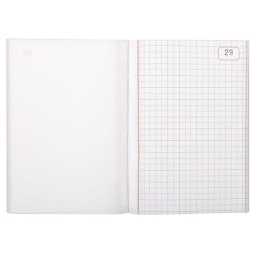 LE DAUPHIN Carnet autocopiant tripli Quadrillé148 x 105 mm 1103D Modèle