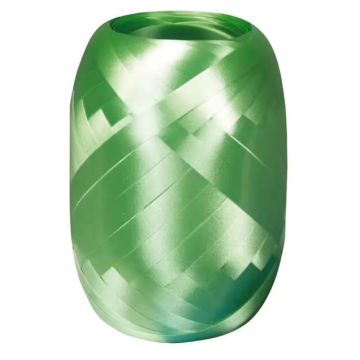 Photo SUSY CARD : Ruban cadeau bolduc - Vert pomme - 11229911