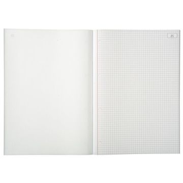 LE DAUPHIN Carnet autocopiant tripli Quadrillés - 297  x 210 mm 1123D Modèle