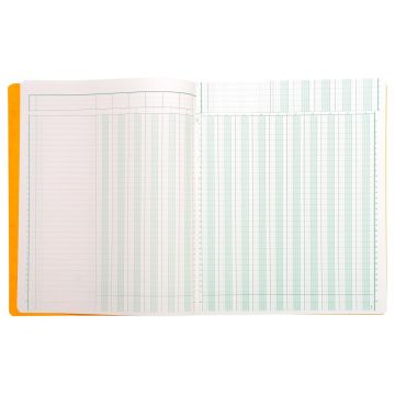 Registre comptable - 16  colonnes- 320 x 250 mm (EXACOMPTA 14160E Journal)