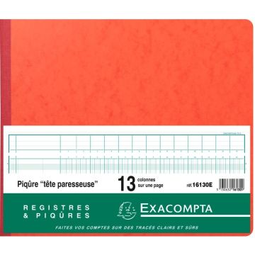 EXACOMPTA 16130E Registre 13 colonnes
