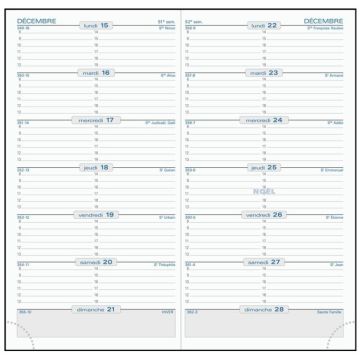 Agenda Semainier de poche 2025 EXACOMPTA SL17 - 175 x 90 mm