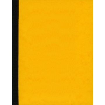 Registre à têtes paresseuses - 18 colonnes 100 pages - 320 x 250 mm : ELVE 183181