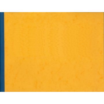 Registre à têtes paresseuses - 25 colonnes 80 pages - 250 x 320 mm : ELVE 1884251