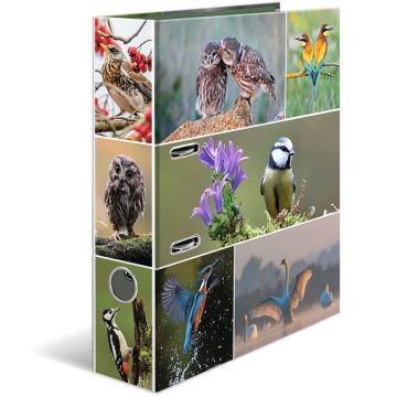 Classeur à 2 anneaux - Dos de 70 mm - Chevaux : HERMA image