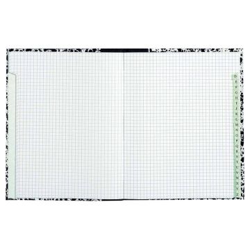 LE DAUPHIN : Répertoire de 192 pages quadrillées -  220 x 170 mm 202519d