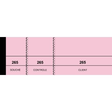 PASSE - PARTOUT Lot de 100 tickets - Rose (Carnet 214 ELVE Lebon et Vernay)