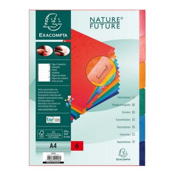 EXACOMPTA : Jeu de 6 intercalaires neutres en carte lustrée 2206E