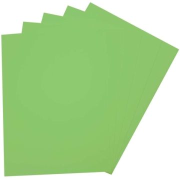 Caoutchouc Mousse - Vert clair - 200 x 290 mm : FOLIA Lot de 10 Visuel