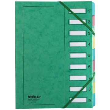 Trieur Papier à élastiques de 9 compartiments - Vert : EXTENDOS Visuel