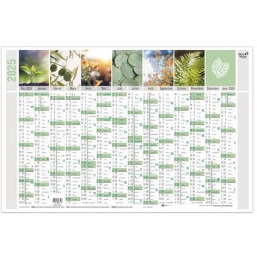 Calendrier 2025 - 650 x 430 mm Equology QUO VADIS 238091Q