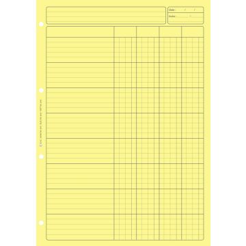 BLOC AUDIT JAUNE : 4 colonnes avec en-tête 2641 Elve