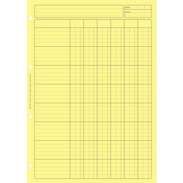 BLOC AUDIT JAUNE : 6 colonnes avec en-tête - Feuille de travail  (2661 ELVE)