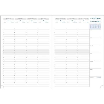 Agenda 2024/2025 Semainier de bureau SAD29 297 x 210 mm EXACOMPTA