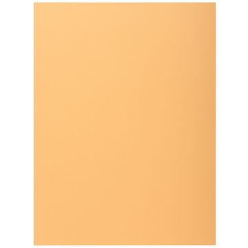 Lot de 50 Chemises à 1 rabat - Bulle EXACOMPTA Super 210 Image