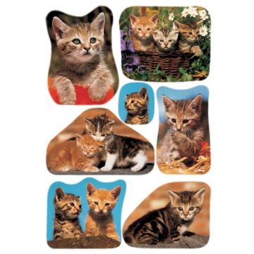 Stickers en papier - Photo de Chat : HERMA Lot de 21 Image