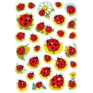 Stickers en papier - Coccinelles et fleur : HERMA Lot de 84 Image