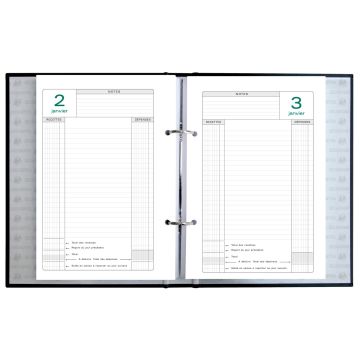 EXACOMPTA 38970E : Classeur pour agenda perpétuel de Caisse (Comptabilité entreprise) Modèle