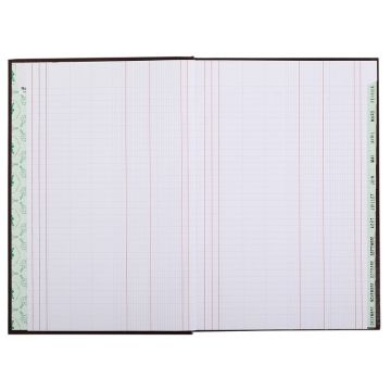 Echéancier mensuel - 297 x 210 mm LE DAUPHIN 39721D modèle