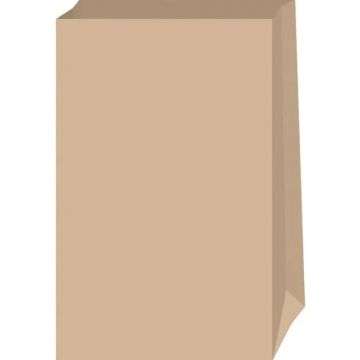 Pochette d'emballage en papier - 120 x 210 mm - Nature : FOLIA Lot de 15 Modèle