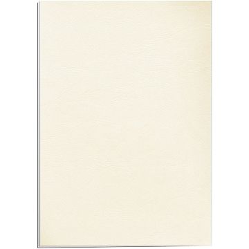 Lot de 100 couvertures pour Reliure Delta - Carton - Ivoire : FELLOWES Visuel
