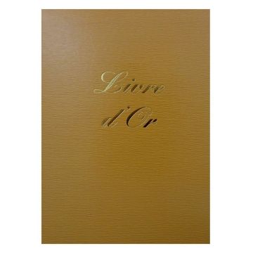 ELVE : Livre d'or Classique - 297 x 210 mm - Jaune 54003