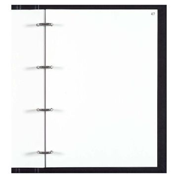 Recharge pour Livre journal ou Livre d'inventaire EXACOMPTA 5417E 100 feuilles Registre