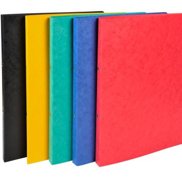 54250E Classeur Exacompta 2 Anneaux Assortiment Carte lustrée