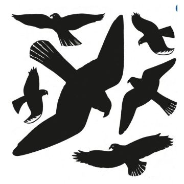 HERMA : Oiseaux pour vitres - Noir