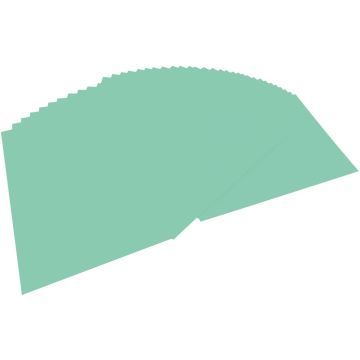 Feuille de papier - 220 g - 500 x 700 mm - Menthe : FOLIA Visuel