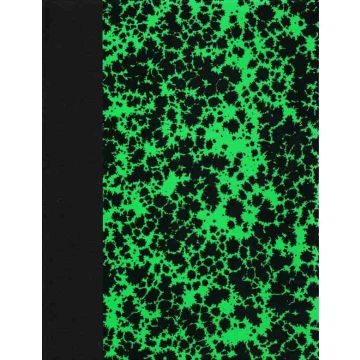 ELVE 61302 : Registre - 200 pages quadrillées sans foliotage - 297 x 210 mm