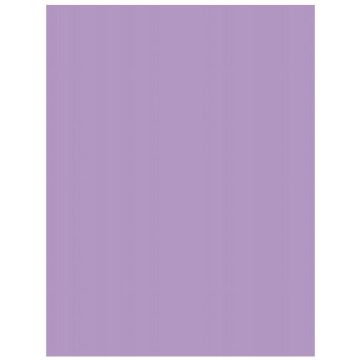 Carton de Bricolage A4 - Violet - 300 g/m² : FOLIA Lot de 50 Visuel