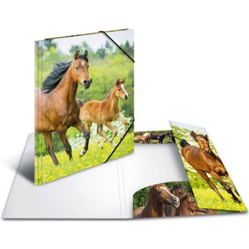 Chemise à rabats - Motif Cheval - A4 : HERMA Photo