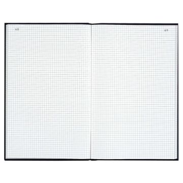LE DAUPHIN : Registre  600 pages quadrillées avec foliotage - 340 x 225 mm 7569D