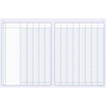 Registre 13 colonnes - 320 x 250 mm 100 pages ELVE