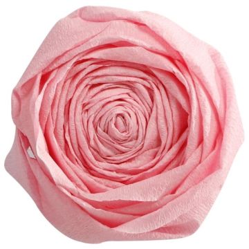 Papier Crépon - Rose pâle : CLAIREFONTAINE Visuel