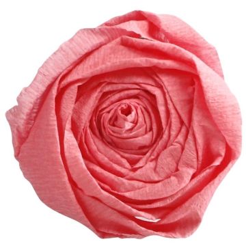 Papier Crépon - Rose moyen : CLAIREFONTAINE Photo