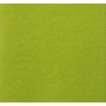 Papier de soie - Vert Pomme - 500 x 750 mm : CLAIREFONTAINE Lot de 8 couleur