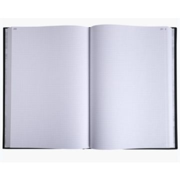 Registre - 600 pages quadrillées et numérotées - 390 x 255 mm - LE DAUPHIN intérieur