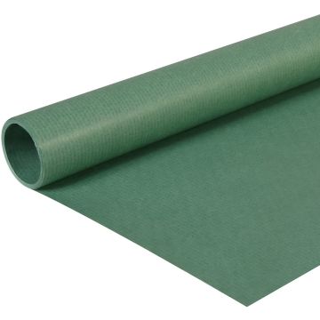 Papier Cadeau uni - Vert Mousse - 0,70 x 3 m : CLAIREFONTAINE Visuel